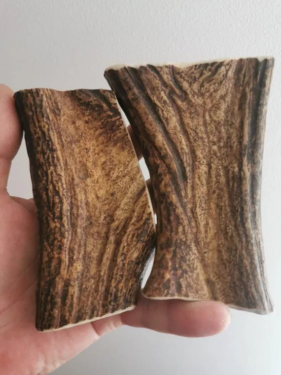 Elk Antler