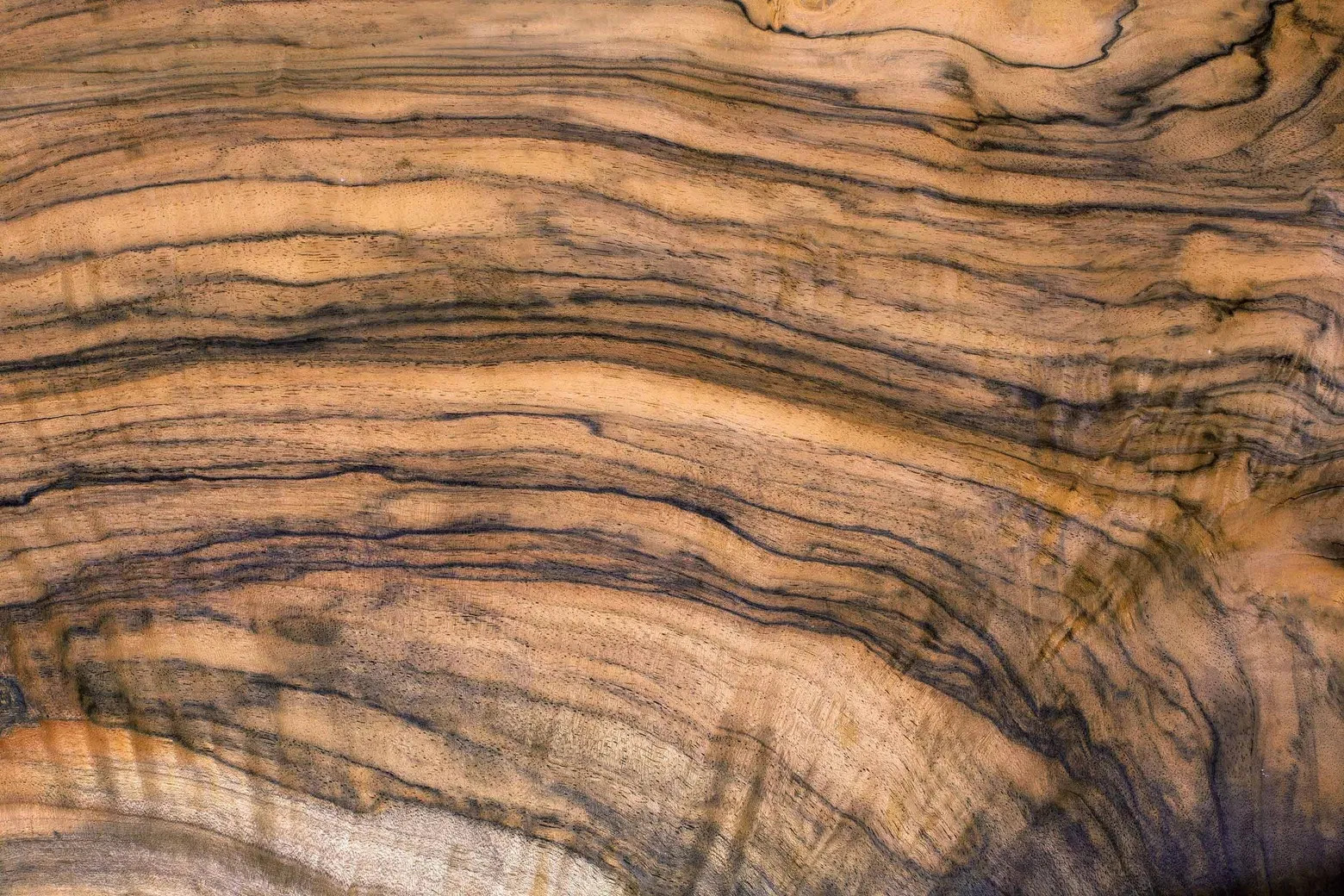 Bocote