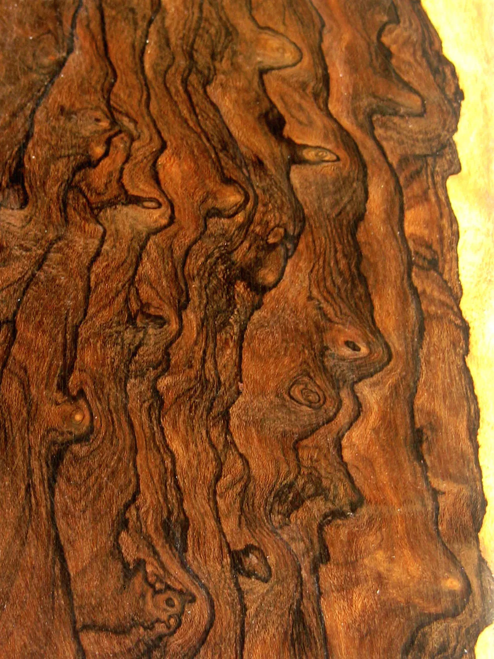 Ziricote
