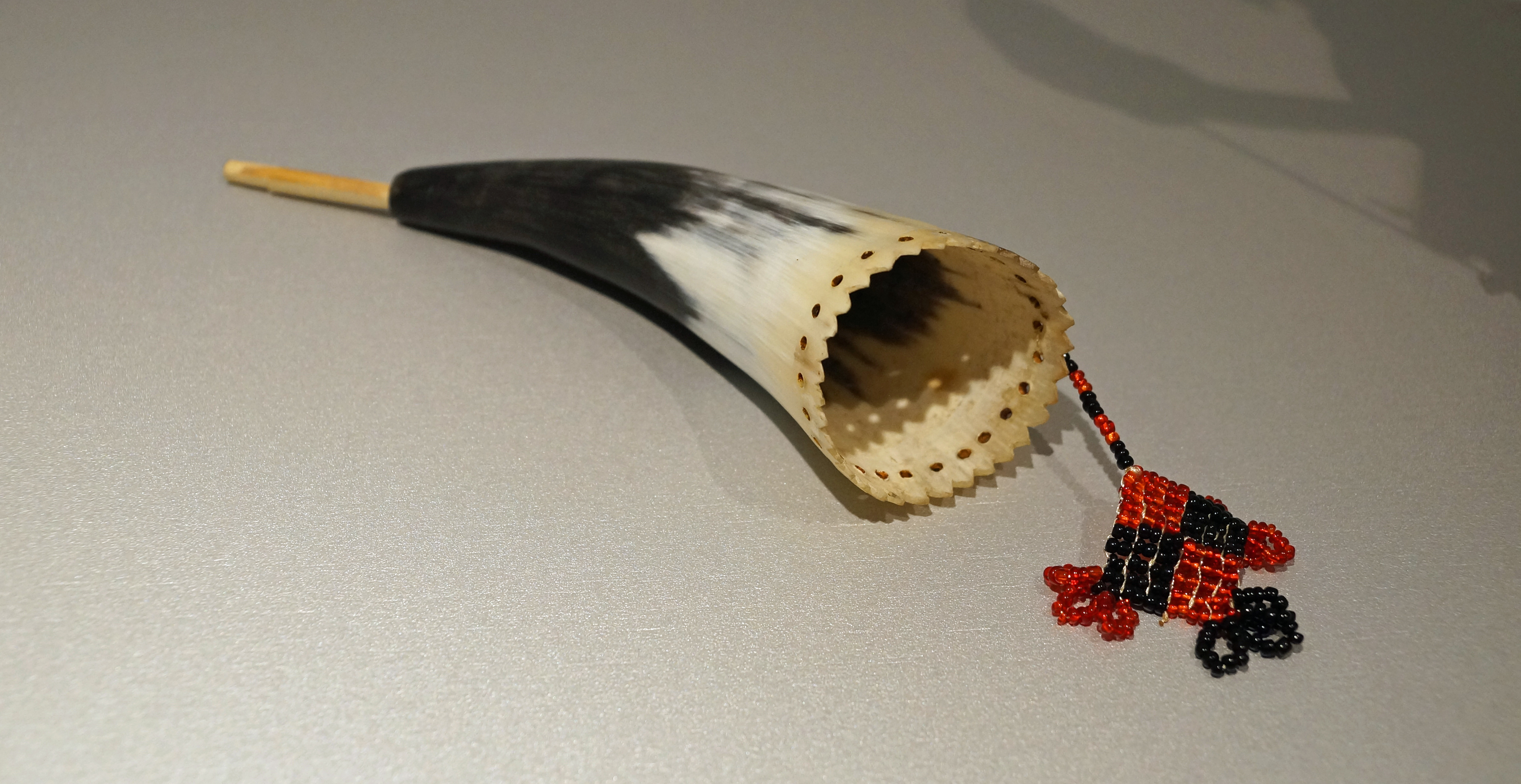 Buffalo Horn